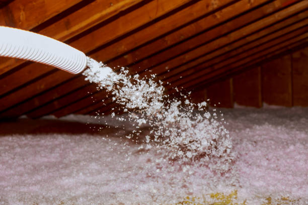 Best Insulation Installation Services in Lake Shore, UT